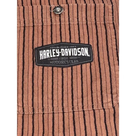 HARLEY-DAVIDSON Mens LARGE Brown Stripe Embroidery Spell-Out Button-Up S/S SHIRT - Picture 2 of 11